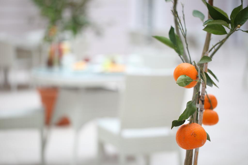 Luxor Garden Hotel Kocaeli Buitenkant foto